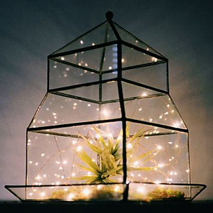 Dây đèn đom đóm dùng pin Fairy Lights