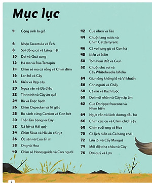 Sách Những Cặp Bài Trùng Trong Thế Giới Động Vật – Mối Quan Hệ Cộng Sinh Thú Vị Trong Thế Giới Động Thực Vật