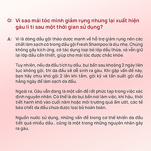 Dầu gội thảo dược Fresh Shampoo giảm rụng tóc, giảm gàu, nuôi dưỡng tóc mềm mượt và chắc khỏe từ gốc 500ml
