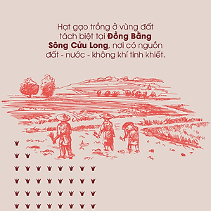 Gạo lứt đỏ hữu cơ cao cấp - ECOBA Huyết Rồng 1kg - Cơm mềm dễ ăn - Gạo lứt ăn kiêng