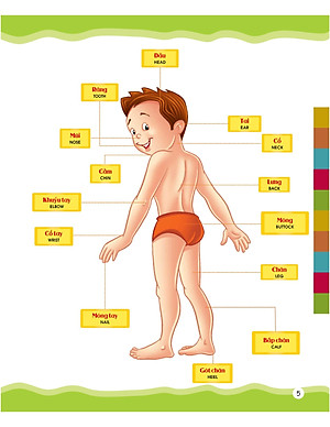 Sách Từ Điển Bằng Hình Của Tôi: Em Thích Miêu Tả (Dành Cho Trẻ Từ 4 - 6 Tuổi)