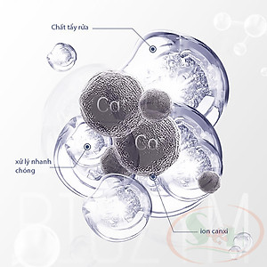Tẩy cặn canxi Biozym Tank Scale Cleaner vệ sinh vết ố bể kính thủy sinh cá tép cảnh