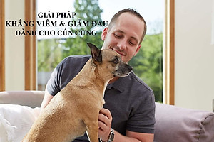 Vỉ 10 viên Inflacam kháng viêm, giảm đau trên chó (Virbac)