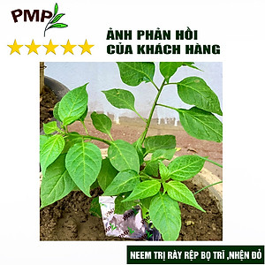 Dầu Neem Oil Hữu Cơ PMP Nguyên Chất Loại Bỏ Trĩ, Rệp, Nhện Đỏ, Nấm, Sâu Bệnh Cho Hoa Hồng, Rau Củ Green Neem 50ml-100ml