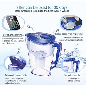 Bình lọc nước uống cầm tay Philips AWP2921