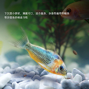 Thức ăn cá Biozym Pellet Feed Food viên chìm tầng đáy cá chuột pleco thủy sinh