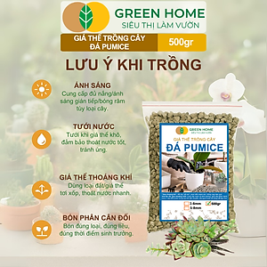 Đá Pumice Greenhome, Bao 500gr, Đất Trồng Sen Đá, Giá Thể Trồng Cây, Lót Chậu, Nhiều Khoáng Chất, Thoát Nước Tốt