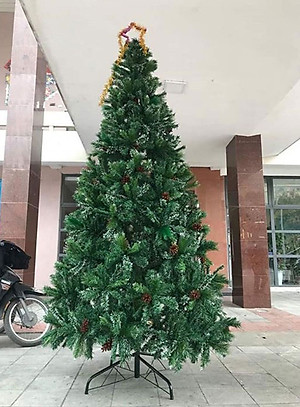 Cây thông noel 3 loại lá gắn trái thông - Cây thông đẹp Tán dày đều, cây thông chắc chắn và dể tháo lắp