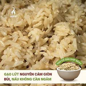 Gạo Ngỗng Sinh Thái ST25 - Gạo Sạch Ruộng Rươi Tôm Gói 700gr