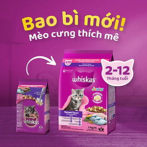 Thức Ăn Cho Mèo Con Whiskas Junior 2-12 Months Mackerel Flavour Vị Cá Thu 1.1kg/Túi