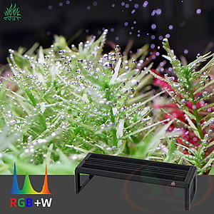 Đèn led Week Aqua New V series Ver.3 WRGB quang phổ cây bể thủy sinh cá tép cảnh