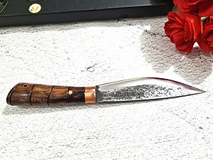 DAO BẾP PHÚC SEN - DAO THÁI, MỔ , CHỌC TIẾT SIZE 16 MÃ AQN32