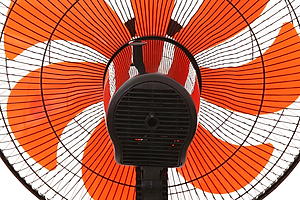 Quạt Điện Đứng 7 cánh Senko LTS1636 - Giao Màu Ngẫu Nhiên - Hàng Chính Hãng