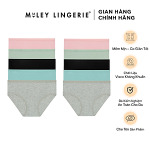 Combo 10 Quần Lót Flexi Stretch Chất Liệu Bamboo Visco - Miley Lingerie