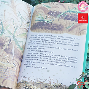 Sách - Truyện Tranh Khoa Học Về Các Loài Côn Trùng - Đom Đóm, Bọ Ngựa, Ve Sầu Và Sâu Bắp Cải - Đinh Tị Books