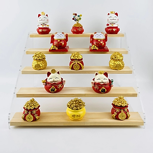 Kệ trưng bày Enter TB504 5 tầng 405x315x260mm