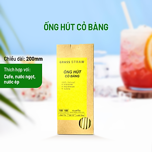 Hộp 100 Ống Hút Cỏ Bàng Ecopine Dài 20 cm - Dùng Được Cho Tất Cả Các Loại Thức Uống