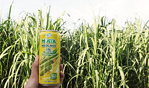 Khay 24 lon Nước Mía Tươi MiATA Vị Tắc 320ml