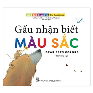 Sách Cùng gấu khám phá -The Bear Books - Gấu nhận biết màu sắc - Bear see colors