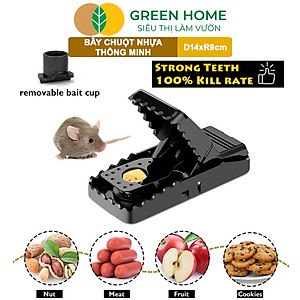Bẫy Chuột Thông Minh Greenhome, D14xr9cm, Lò Xo Độ Nhạy Cao, Lực Gấp Mạnh, Dễ Dùng, Hiệu Quả Cao, Tái Sử Dụng Nhiều Lần