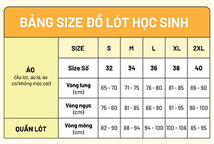 Combo 2 áo lót học sinh không mút phối ren iBasic VA107