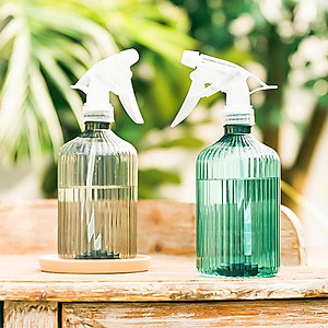 Bình Xịt Nước Tưới Cây 500Ml Thời Trang Nhiều Màu Sắc