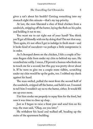 Sách The Travelling Cat Chronicles