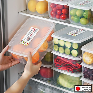 Bộ 3 hộp đựng thực phẩm 3L cỡ lớn nắp kín dùng cho quán ăn, nhà hàng Nội địa Nhật Bản