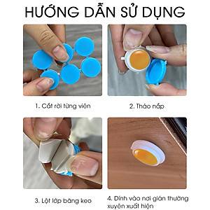 Thuốc diệt gián sinh học AMB, Viện Hàn lâm khoa học Việt Nam, diệt tận gốc tất cả các loại gián, hiệu quả, an toàn.