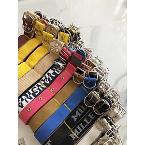 Dây đai đeo cổ chó,mèo