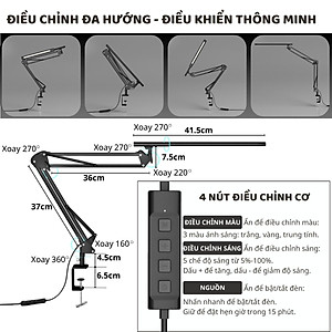 Đèn bàn học bảo vệ mắt DandiHome Ergo Edge chống cận để làm việc, học tập có thể kéo dài và gấp gọn - 3 phiên bản