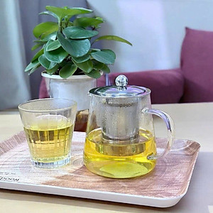 Ấm pha trà thủy tinh chịu nhiệt kèm lõi lọc Inox Echo Japan 650ml