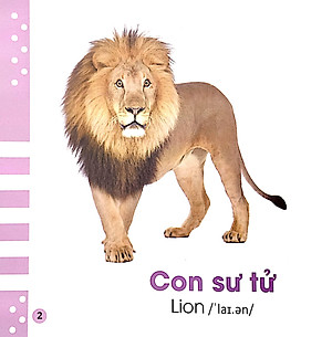 Từ Điển Bằng Hình Cho Bé - Các Loài Động Vật - Animals