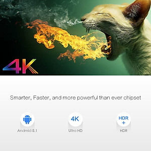 Android Box X96MAX-DDR4-4GB Amlogic S905X2 Android 8.1, bộ nhớ trong 32GB eMMC, 4K TV Box USB3.0 Dual Band WiFi Bluetooth Gigabit LAN - Hàng Nhập Khẩu