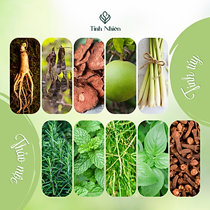 Dầu Gội Thảo Mộc Nhân Sâm Tinh Nhiên chăm sóc tóc chuyên sâu, giảm rụng tóc, giúp tóc mọc dày hiệu quả