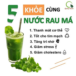 Rau Má Uống Liền Sấy Lạnh Nguyên Chất Hộp 6 Tuýp - Mát gan, detox, giảm mụn, giảm cân, giải nhiệt