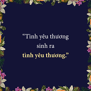 Sách Nơi Vết Thương Ánh Sáng Rọi Vào