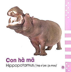 Từ Điển Bằng Hình Cho Bé - Các Loài Động Vật - Animals