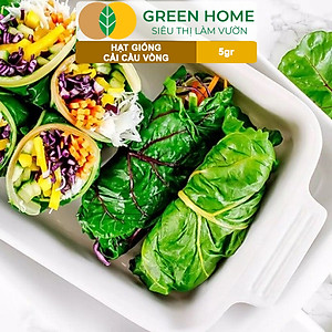 Hạt Giống Rau Cải Cầu Vồng Greenhome, Gói 5g~200 hạt, Dễ Trồng Quanh Năm, Nảy Mầm Cao, Thu Hoạch Nhanh, Năng Suất Cao R06