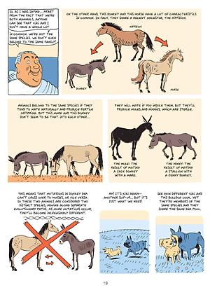 Sapiens: A Graphic History: The Birth Of Humankind Volume 1 (Paperback)