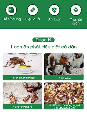 Combo 4 hộp viên diệt gián sinh học AMB, thuốc diệt gián Đức hiệu quả nhanh chóng, an toàn sức khỏe, hộp 8 viên