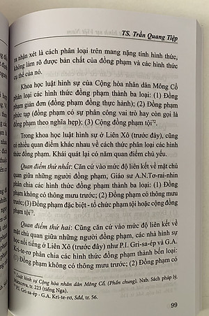 Đồng phạm trong luật hình sự Việt Nam