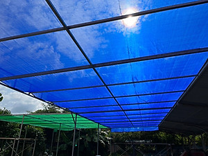 LƯỚI CHE NẮNG 80% CHE SÂN VƯỜN, BAN CÔNG - 230GSM - MÀU XANH DƯƠNG