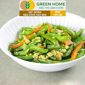 Hạt Giống Đậu Cove Greenhome, Gói 20gr~90 hạt, Dễ Trồng Quanh Năm, Nảy Mầm Cao, Thu Hoạch Nhanh, Năng Suất Cao T07