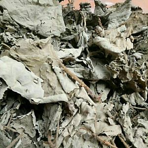 Trà túi lọc Lá mâm xôi rừng- Làm đẹp niêm mạc, hỗ trợ thả tự nhiên và chuyển phôi ivf, iui