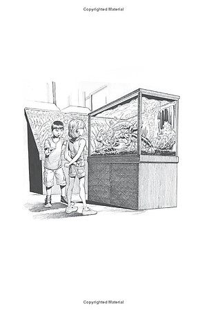 12 Rules for Life: An Antidote to Chaos