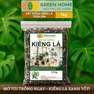 Đất Trồng Kiểng Lá Greenhome, Bao 1kg, Giá Thể Trộn Sẵn, Tiện Lợi Cho Monstera, Kiểng Lá