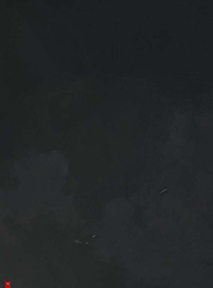 Cây Bách Xù - Truyện Cổ Grimm Kinh Dị Được Kể Bằng Tranh