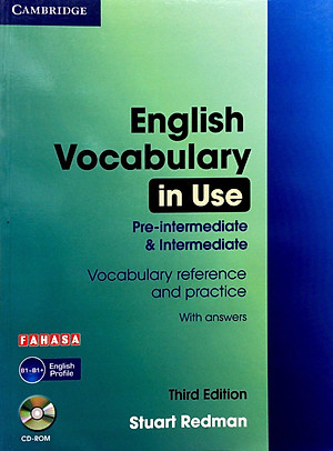 English Vocabulary in Use: Pre-Intermediate and Intermediate Book with Answers: Vocabulary Reference and Practice (Kèm CD)