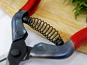 Kéo tỉa cành cao cấp Nhật Bản Chikamasa T-5C chiều dài lưỡi 35mm - lưỡi thép không gỉ chất lượng cao siêu bén - Cắt ngọt, không bám dính, liền sẹo nhanh